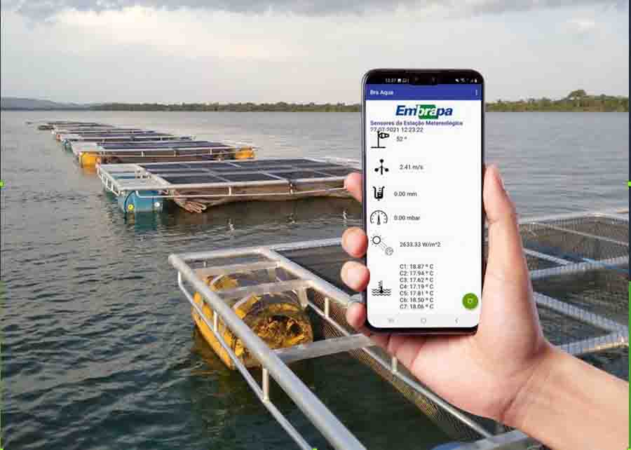 Dados reunidos pelo Aqua-On são transmitidos da plataforma flutuante até uma estação em terra, com acesso à internet via WiFi, e os dados ficam disponíveis em um aplicativo desenvolvido para celular. Foto: Fernanda Sampaio / divulgação