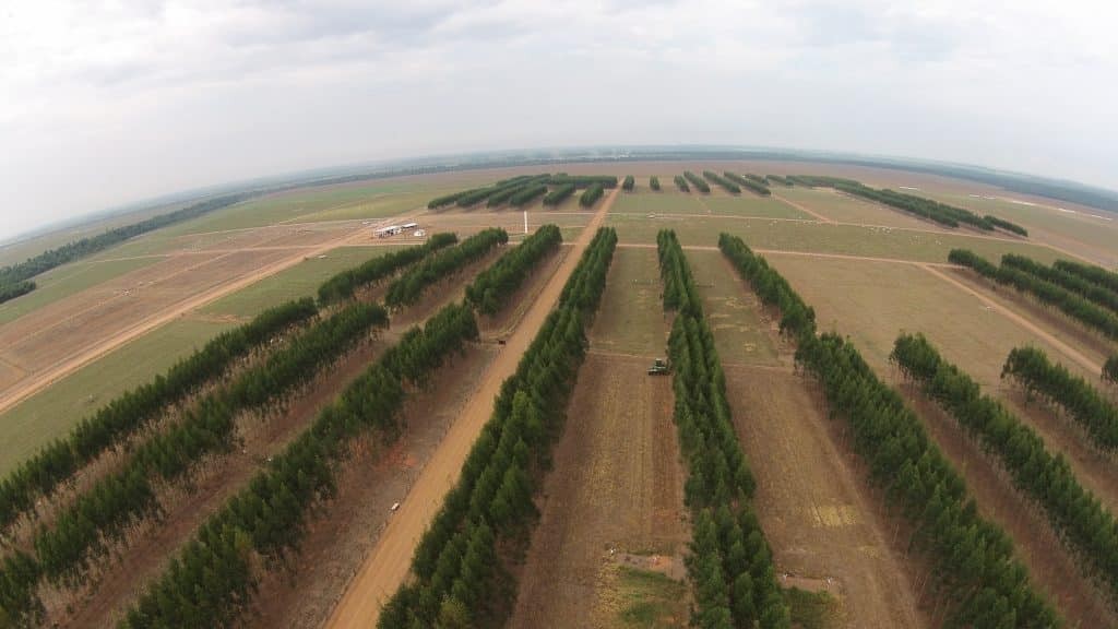 A iniciativa programa LabCerrado, desenvolvida pela Embrapa e VLI, reuniu produtores de diferentes regiões do estado. Foto: VLI / divulgação.