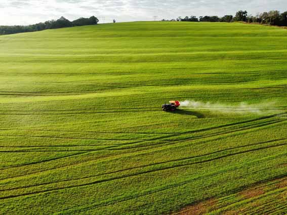 Concentração de nutrientes na forma granulada de fertilizante mineral produzido em SC auxilia solos pobres em enxofre. Foto: divulgação SulGesso
