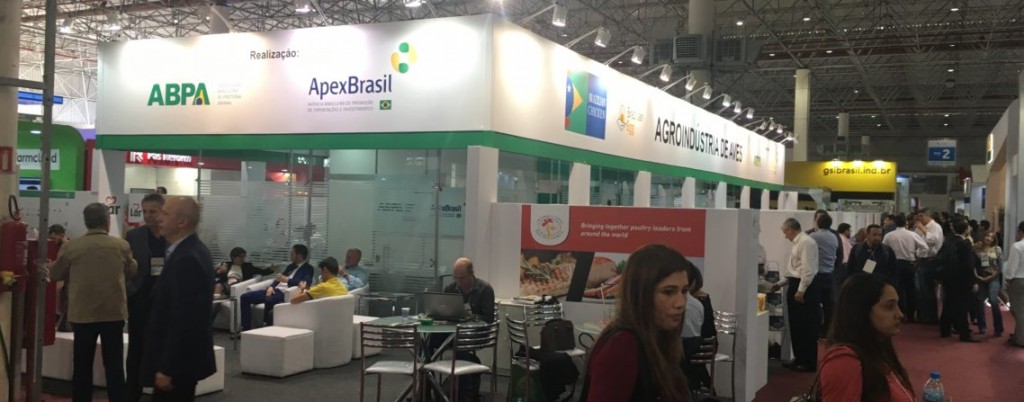 As exportações alcançaram US$ 269 milhões, número 28,7% superior ao registrado no oitavo mês de 2021, com US$ 209 milhões. Foto: ABPA / divulgação