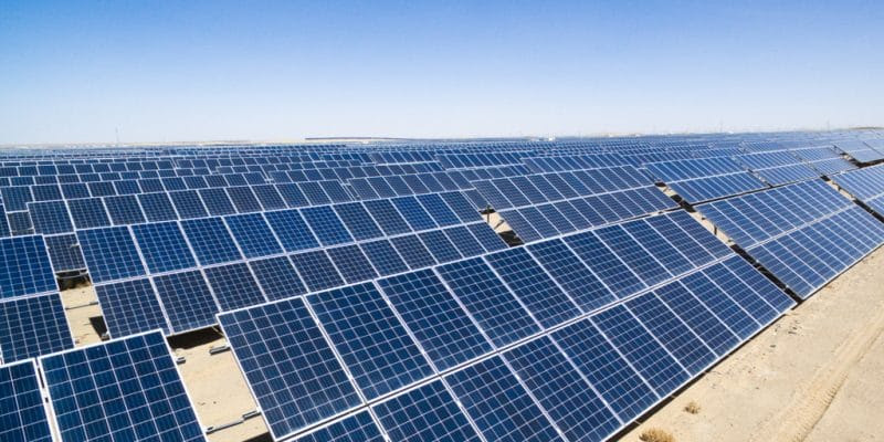 Desde 2012, os empreendimentos fotovoltaicos geraram mais de 182,5 mil empregos acumulados. (Divulgação / Absolar)