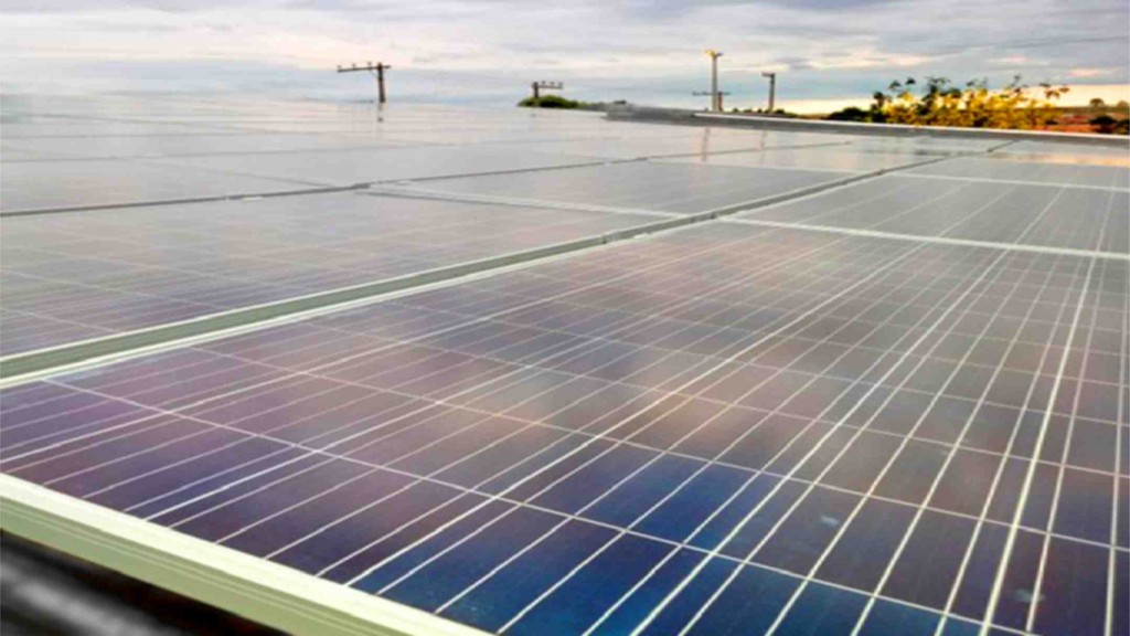 O líquido da casca do caju conta com substâncias capazes de revestir os painéis de energia solar e captar a energia, transformando-a em energia térmica, em vez de gerar propriamente eletricidade. (Divulgação)