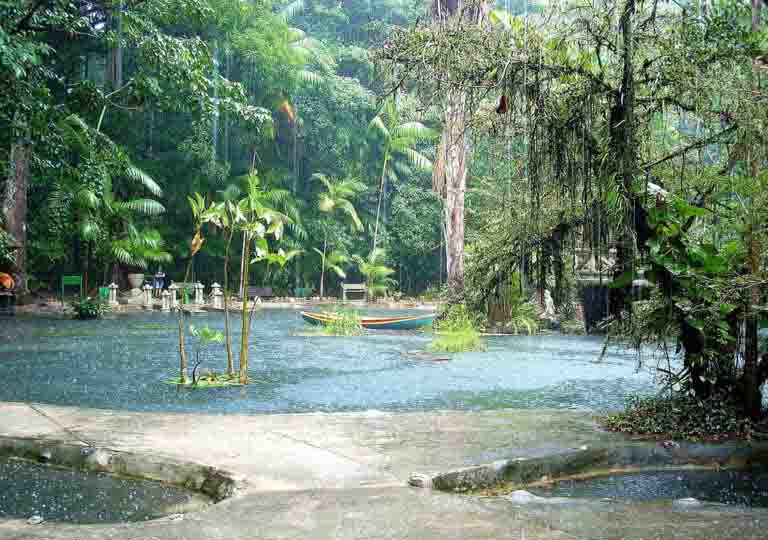 O Bosque Rodrigues Alves, em Belém (PA), tem cerca de 15 hectares de Floresta Amazônica