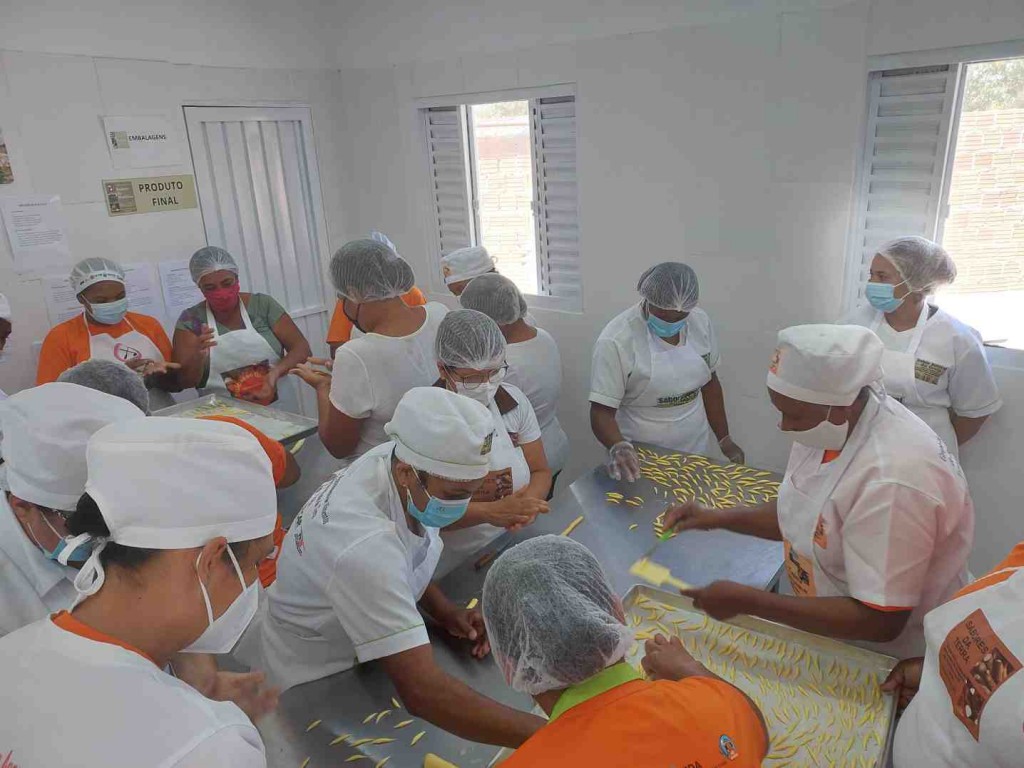 O Rural Produtivo deste sábado (10) mostra a produção de leite bovino, em Várzea do Poço. (Divulgação)