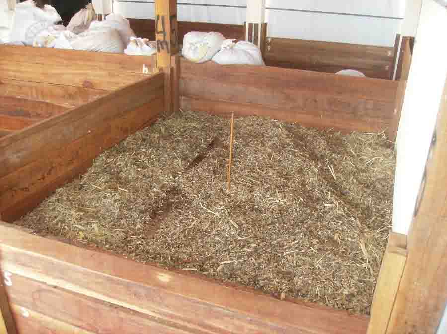Estrutura de composteira usada para decomposição das carcaças e produção do adubo orgânico. Foto: Eduardo Oliveira