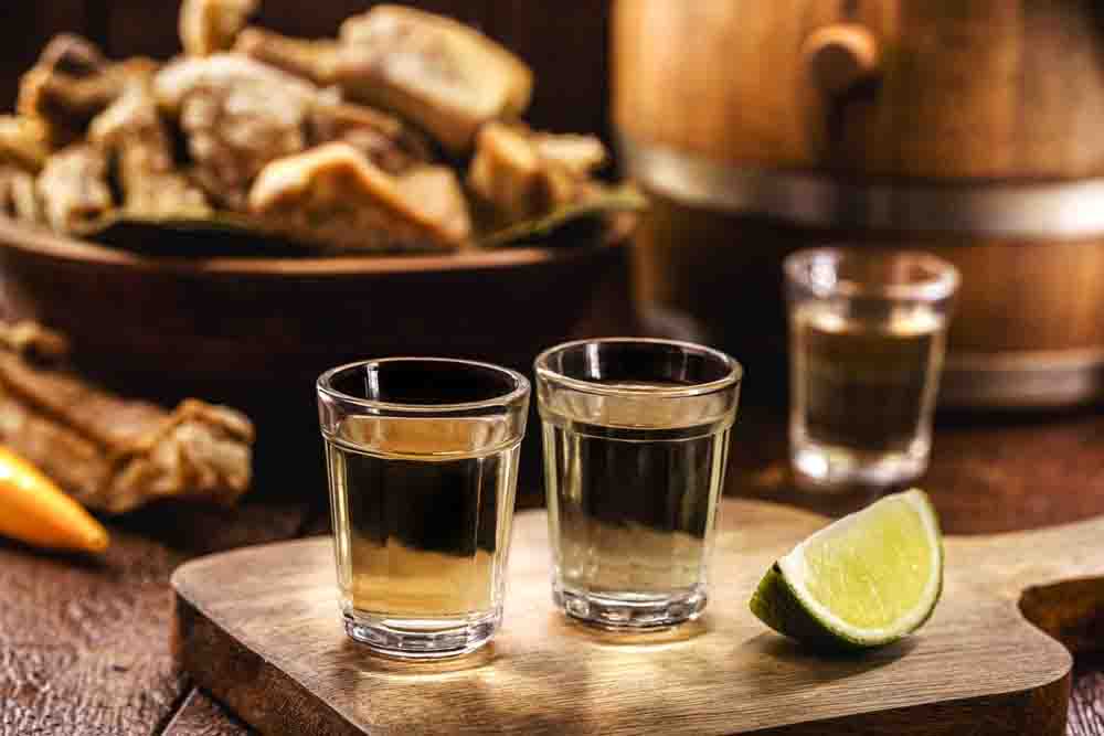 A Região Sudeste domina a produção de cachaça, com 620 cachaçarias que representam 66,2% do total no país. (Divulgação / Festival da cachaça - Conexão123)