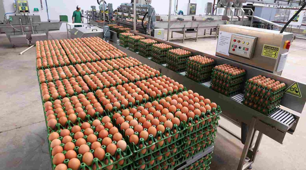 O saldo positivo se repete em volumes, com 8,062 mil toneladas nos nove primeiros meses deste ano, número 10% superior ao registrado em 2021, com 7,329 mil toneladas. Foto: Arnaldo Alves/AEN-PR