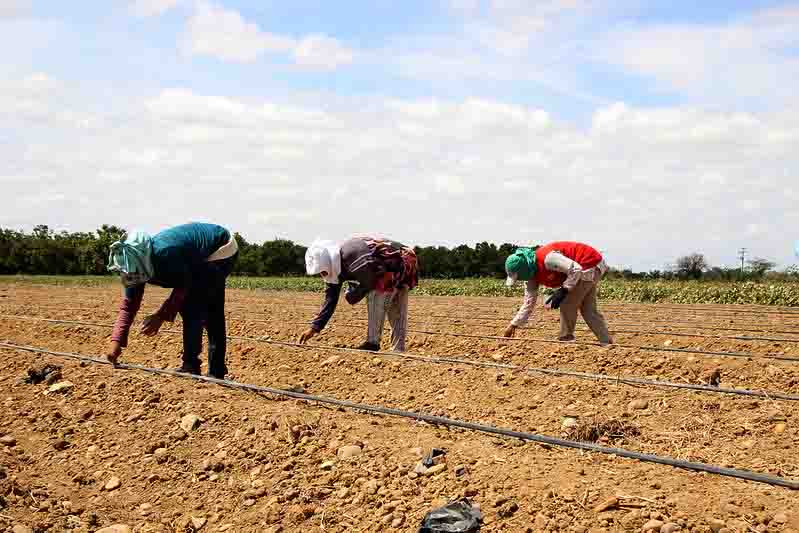 Uma das condições para obtenção do desconto é a de que os contratos originais tenham sido firmados até 31 de dezembro de 2011. Foto: Divulgação Codevasf