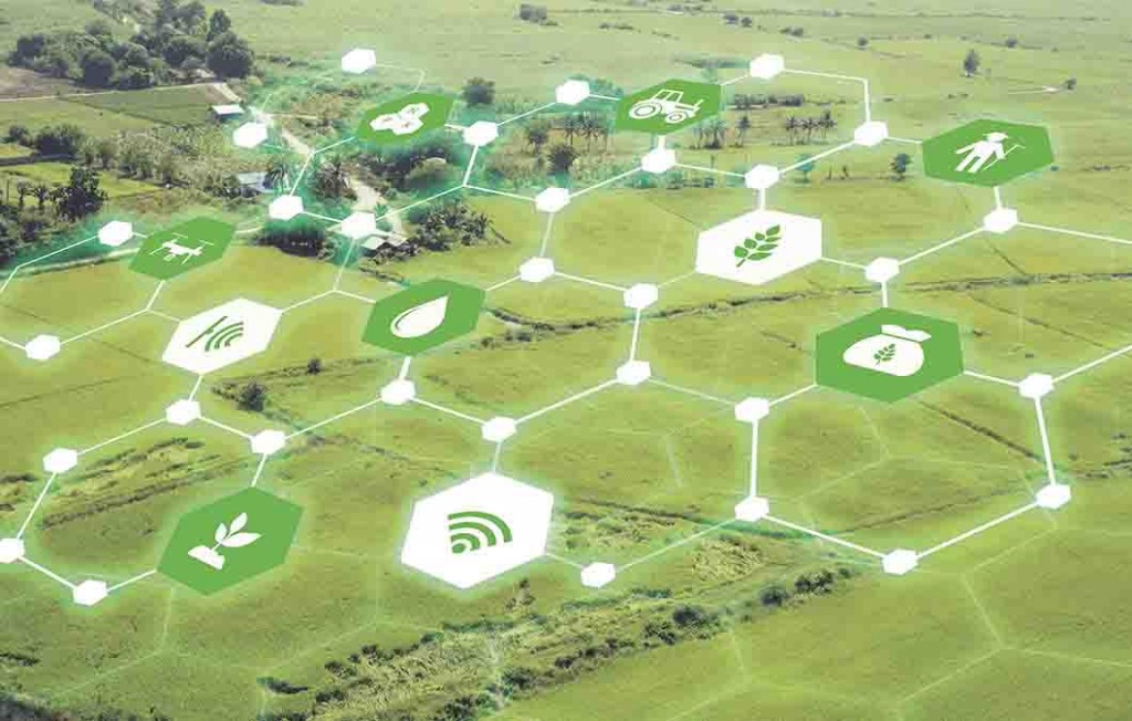 Para CEO da Gavea Marketplace, empresa tem soluções em blockchain, com validações ESG e rastreabilidade de commodities indicadas em flags nos tokens dos produtos. Imagem divulgação.