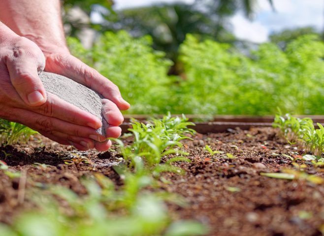 Serão cerca de R$ 300 milhões em Irecê, R$ 260 milhões em Luís Eduardo Magalhães e mais, aproximadamente, R$ 50 milhões em projetos na região de Campo Alegre de Lourdes (BA) e Caracol (PI). Foto: Divulgação Vulcano