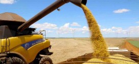 Comercialização da soja brasileira safra 2023/24 já alcança 41,6% da produção estimada