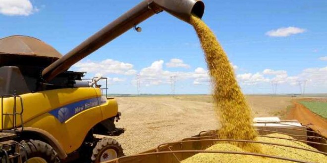Comercialização da soja brasileira safra 2023/24 já alcança 41,6% da produção estimada
