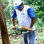 banacultura 01