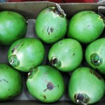 coco brasileiro