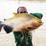 omega 3 surubim