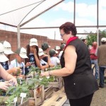 batata ciencia