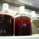 Corantes naturais e nanocristais de celulose são alguns dos produtos e pesquisados (Foto: Caroline Mellinger)