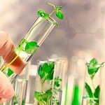 recursos geneticos