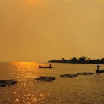 pesquisa aquicultura