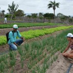 agricultura familiar