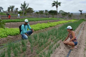 agricultura familiar