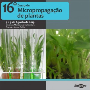 Divulgacao_Curso de Micropropagação de Plantas