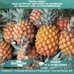 abacaxi
