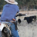 porte_de_arma_produtor_rural_-640x529
