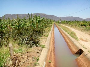 O antigo sistema, por sulco, foi substituído por irrigação por microaspersão. (Foto: arq./Revista Integração bahia