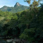 Mata Atlântica é um dos biomas monitorados pela metodologia inédita no Brasil - Foto: Zig Koch/DIVULGAÇÃO