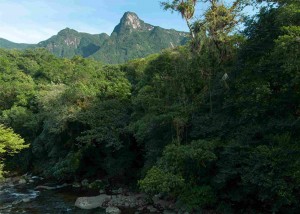 Mata Atlântica é um dos biomas monitorados pela metodologia inédita no Brasil - Foto: Zig Koch/DIVULGAÇÃO