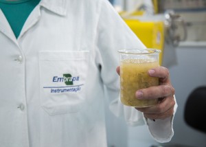 Produto nanotecnológico reúne manejo hídrico e de fertilizantes - Foto: Malu Tinoco