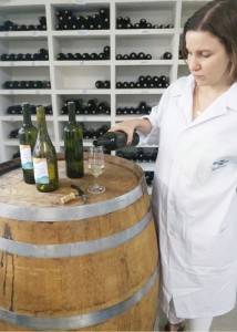 Bebida fermentada de maracujá-do-mato assemelha-se a vinho branco. Foto: Marcelino Ribeiro