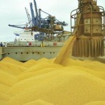Os setores que apresentam aumento real do VBP são: algodão (+18,2%), banana (+19,5%), batata-inglesa (+107,4%), feijão (+58,8%), mamona (+37,9%), milho (+23,5%) e tomate (+13,2%). (Foto: reprodução/Matopiba Agro).