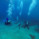 Além das novas atividades, foram credenciadas quatro novas embarcações para operar em Alcatrazes, que desenvolverão atividades de observação de aves e passeios náuticos. Foto: Divulgação