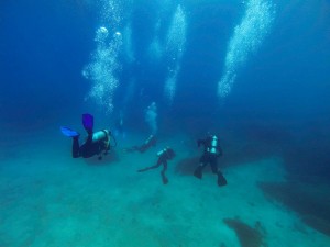 Além das novas atividades, foram credenciadas quatro novas embarcações para operar em Alcatrazes, que desenvolverão atividades de observação de aves e passeios náuticos. Foto: Divulgação