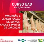 carcaça bovina