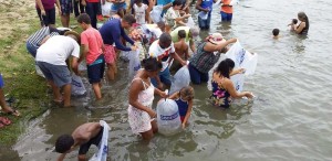 No final de 2019, a Codevasf renovou a parceria por mais cinco anos. Desde o início da cooperação, mais de 5,5 mil famílias de 20 municípios foram beneficiadas com a distribuição de mais de 1,5 milhão de alevinos. Foto reprodução Codevasf