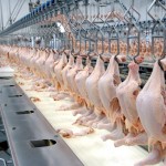 A receita das vendas foi de US$ 164,1 milhões, resultado 78,9% maior que saldo registrado em janeiro de 2019, com US$ 91,7 milhões. Foto reprodução