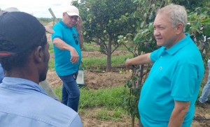 Pesquisador Paulo Roberto explicando o manejo da pera. Foto divulgação.