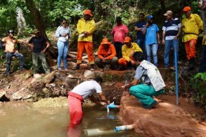 Foram aplicados, neste período, R$ 800 mil na recuperação direta de 55 nascentes de água, além de 87 diagnosticadas e 210 identificadas para futuras ações de preservação em dez municípios do Oeste da Bahia.