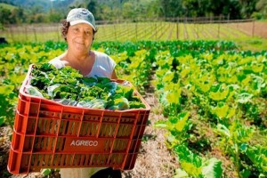 No âmbito do programa Agro + Mulher, Mapa, Embrapa e IBGE apuraram esses dados sobre mulheres rurais brasileiras. Foto: relacionada / reprodução Internet.