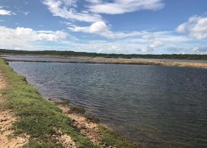 O objetivo principal do projeto é aumentar a produção aquícola, por meio de pesquisas ao longo de quatro anos. Foto Janaina Kimpara / divulgação