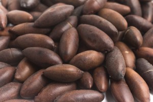 Entre os produtos que serão exportados estão castanhas e material genético avícola. Foto: MAPA / divulgação