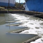 Projeto estima que 500 mil pessoas foram infectadas pelo vírus na capital mineira, cerca de 20% de sua população total. Testes clínicos confirmam menos de 7 mil casos na cidade. Foto Josué Cruz/Agência Brasil / relacionada.