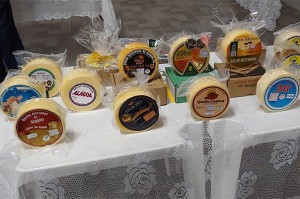 Os pesquisadores também fizeram diversos estudos que envolveram o solo e a água (aspec-tos físicos, químicos e microbiológicos), a alimentação das vacas e as análises do leite e do queijo Foto: relacionada / reprodução.