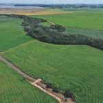 Arroz responde por cerca de 25% da área irrigada no Brasil e por 40% do volume de água captado. Foto:  Atlas Irrigação / ANA /divulgação.