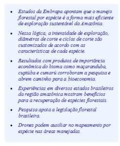 reflorestamento cópia