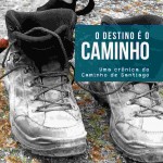 Capa---O-destino-e-o-Caminho (1)