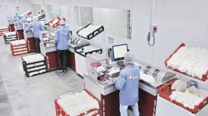 A tecnologia HVI afere as características intrínsecas e extrínsecas da fibra, que incluem comprimento, resistência, reflectância, uniformidade, dentre outros. Foto: Abapa / CAFA
